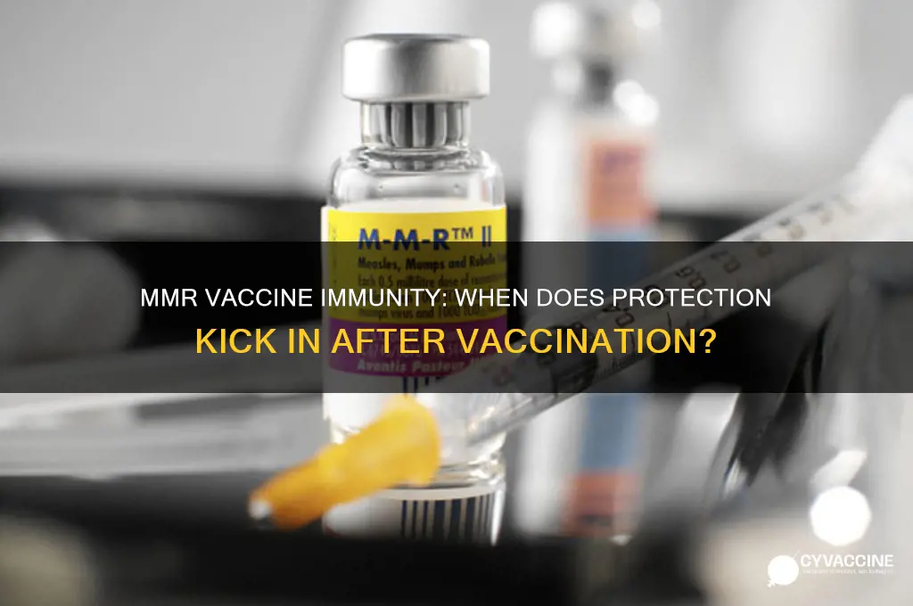 how soon after mmr vaccine are you immune