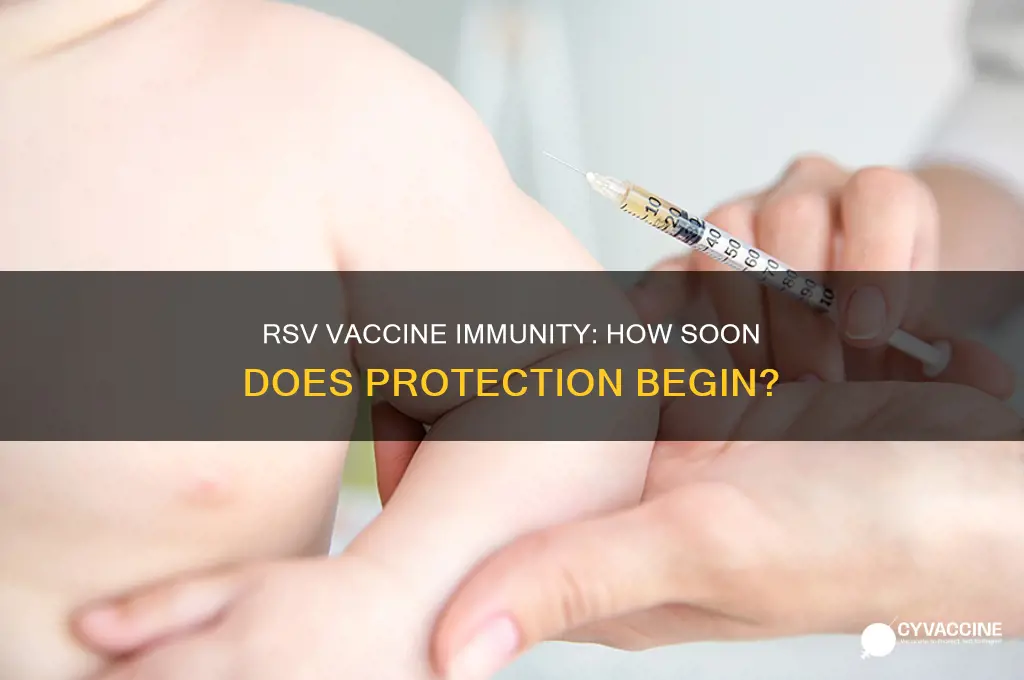 how soon after rsv vaccine are you immune