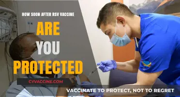 RSV Vaccine Protection Timeline: When Does Immunity Kick In?