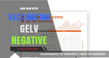 Understanding GelV Negative Results Post-Vaccination: Timing and Insights