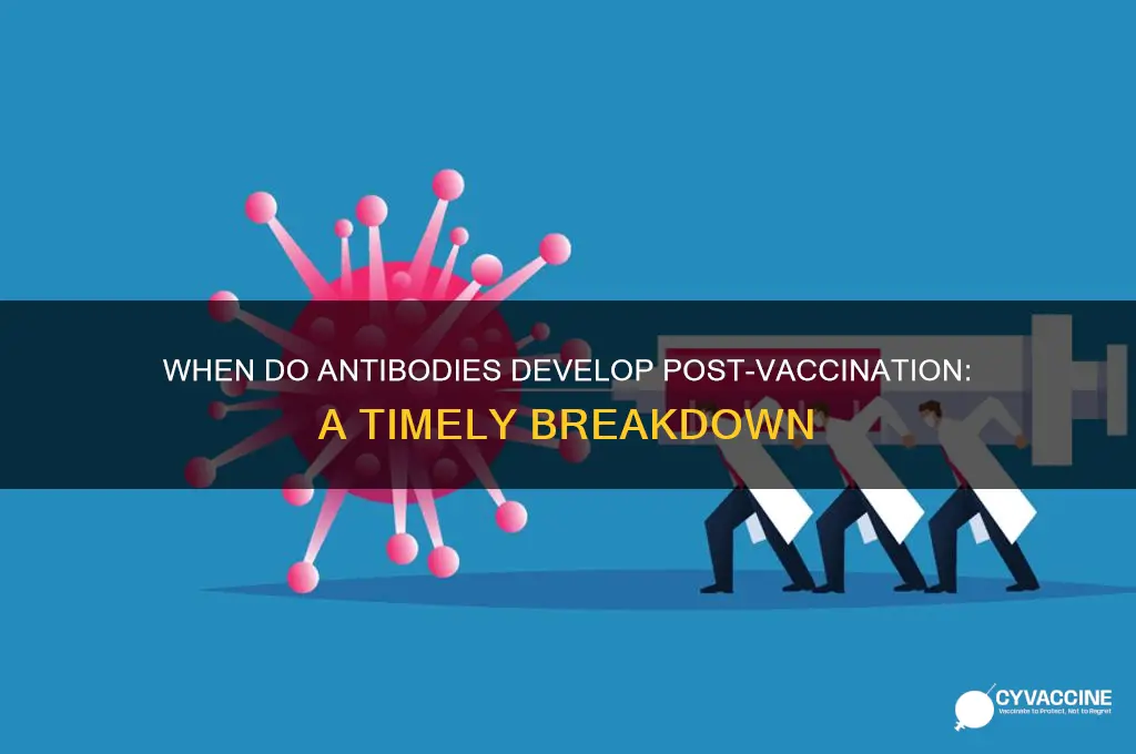 how soon after vaccination do you have antibodies