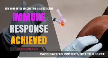 When Does Vaccine Immunity Kick In? Timing Explained
