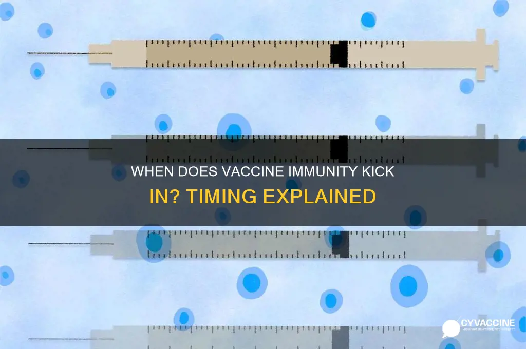 how soon after vaccination is a protective immune response achieved