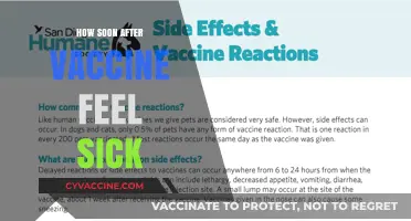 When Do Vaccine Side Effects Start? Understanding Post-Vaccine Symptoms