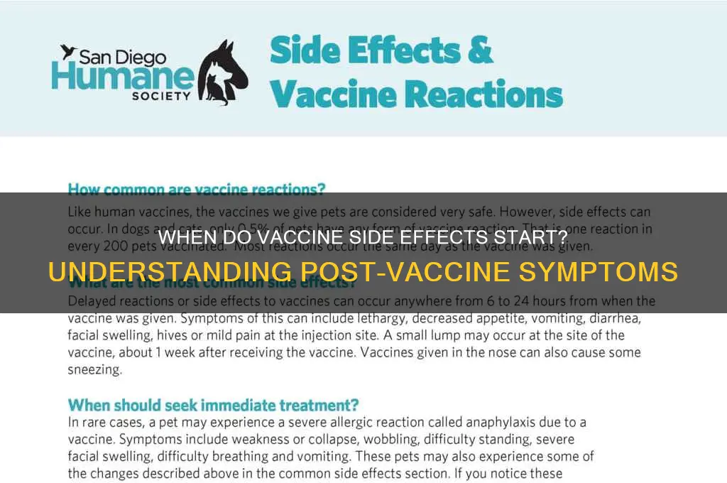 how soon after vaccine feel sick