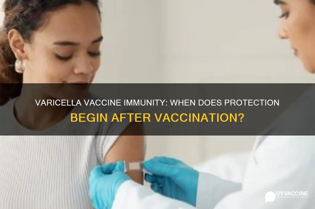 how soon after varicella vaccine are you immune