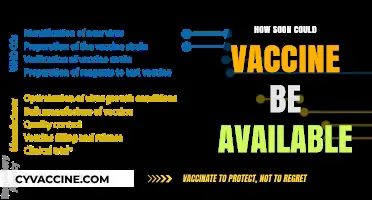 When Can We Expect a Vaccine? Timelines and Realities Explained