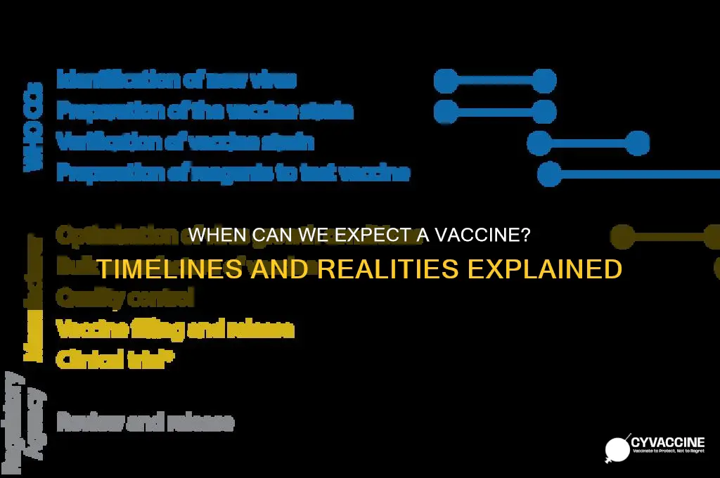 how soon could vaccine be available
