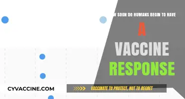 When Does the Human Body Start Responding to Vaccines?