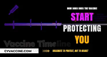 When Does Vaccine Protection Begin? Understanding Immunity Timeline