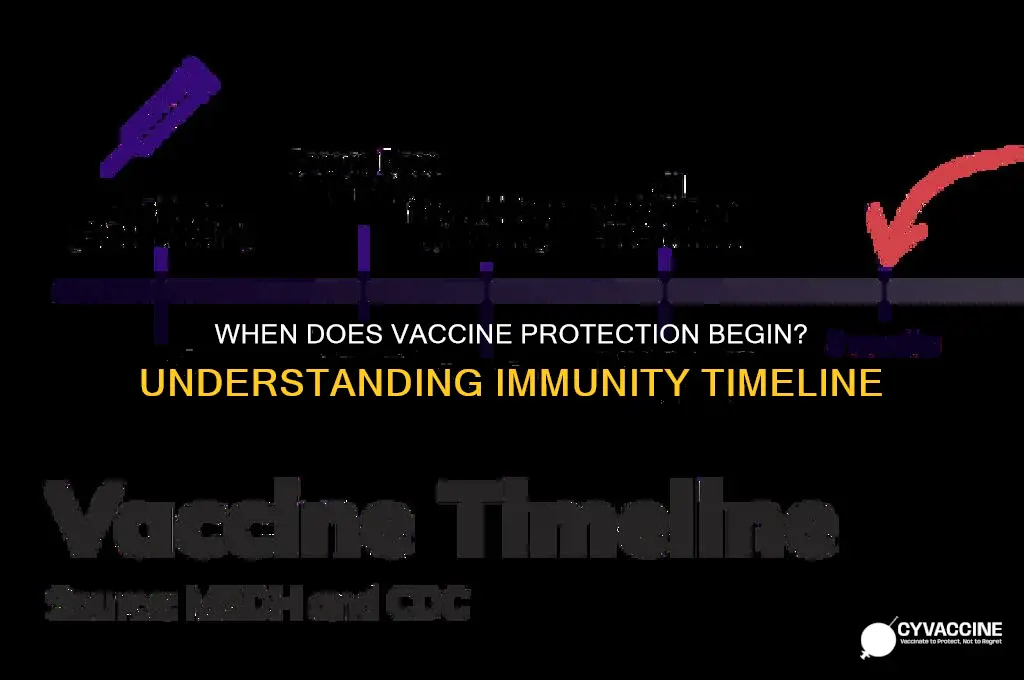 how soon does the vaccine start protecting you