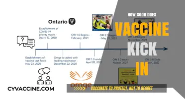 When Does Vaccine Protection Begin? Understanding Immunity Timeline