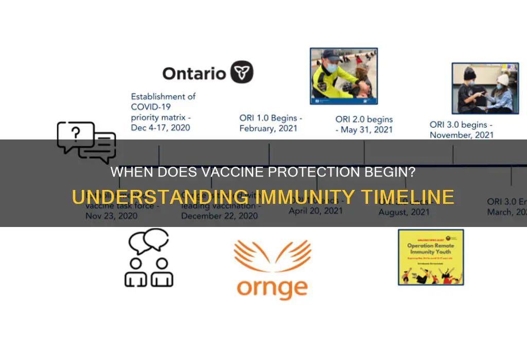 how soon does vaccine kick in