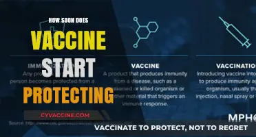 When Does Vaccine Immunity Kick In? Timing Explained Simply