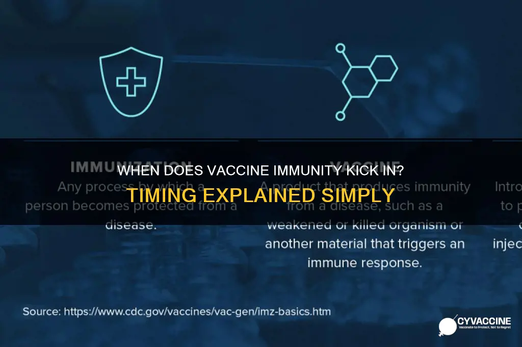 how soon does vaccine start protecting
