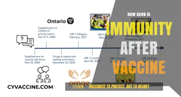 When Does Vaccine Immunity Kick In? A Timeline Explained