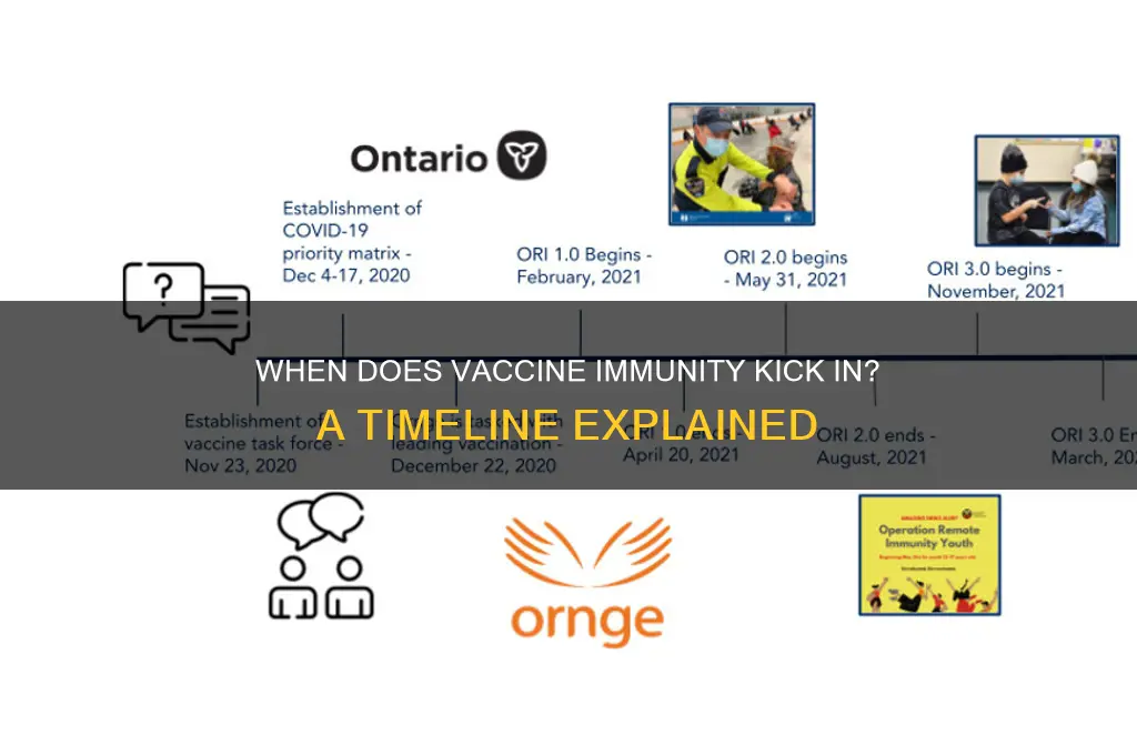 how soon is immunity after vaccine