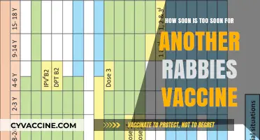 Timing Rabies Vaccines: When to Revaccinate Your Pet Safely