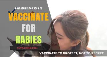 Rabies Vaccination Timing: Balancing Urgency and Safety for Prevention