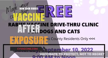 Immediate Rabies Vaccine Action: Timing After Exposure Explained