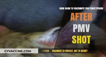 Timing Paratyphoid Vaccination Post-PMV Shot: What You Need to Know
