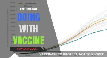 State Vaccine Rollouts: Progress, Challenges, and What’s Next