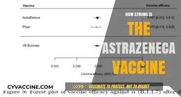 AstraZeneca Vaccine: Efficacy, Safety, and Global Impact Explained