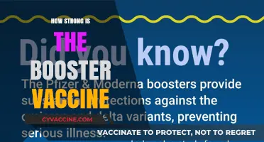 Booster Vaccine Strength: Enhancing Immunity Against COVID-19 Variants