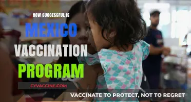 Mexico's Vaccination Program: Successes, Challenges, and Impact on Public Health