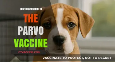 Parvo Vaccine Success: Protecting Puppies and Preventing Deadly Infections