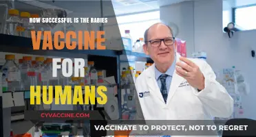 Rabies Vaccine Success: Protecting Humans from a Deadly Virus