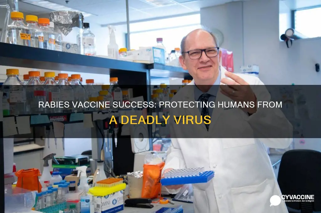 how successful is the rabies vaccine for humans