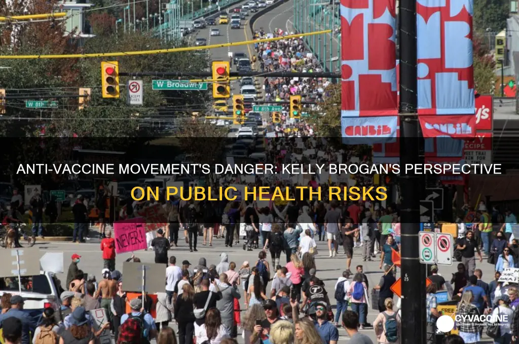 how the anti vaccine movement threatens us all kelly brogan