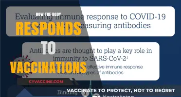 Understanding Your Body's Immune Response to Vaccinations: A Comprehensive Guide