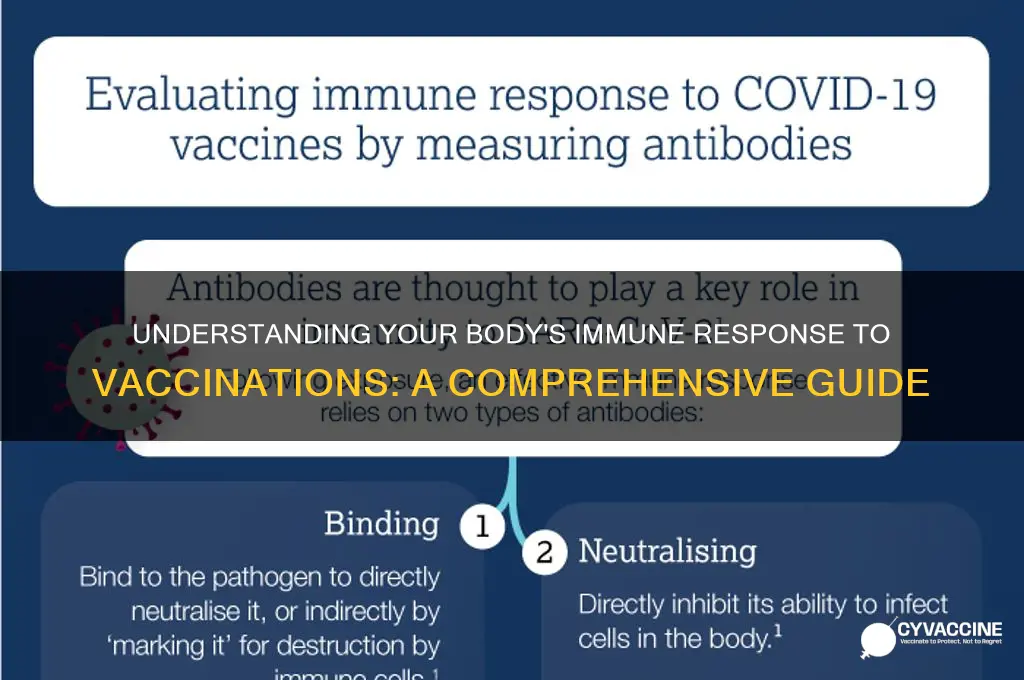 how the body responds to vaccinations