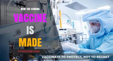 Unveiling the Science: How COVID-19 Vaccines Are Developed and Produced