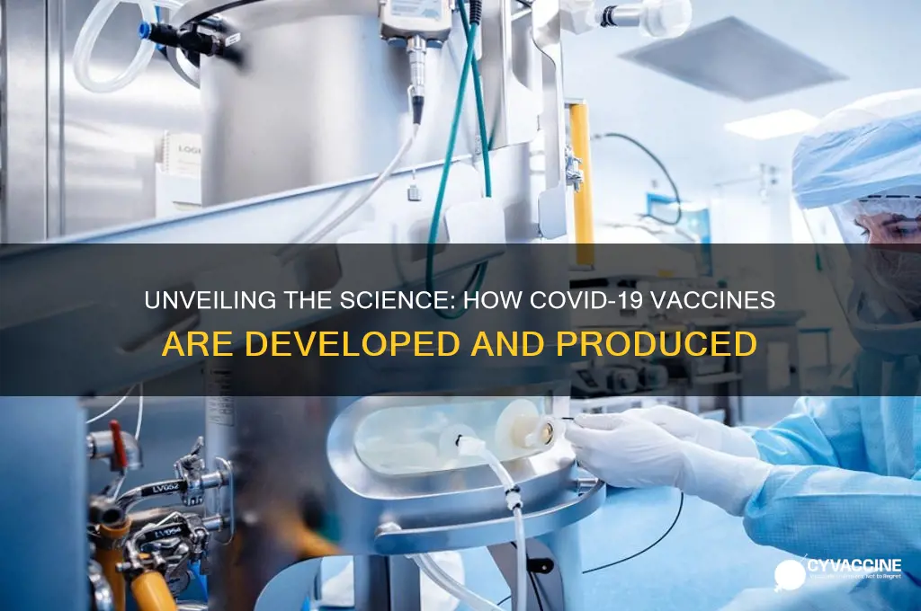 how the corona vaccine is made