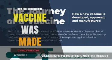 Unveiling the Science: How the Coronavirus Vaccine Was Developed