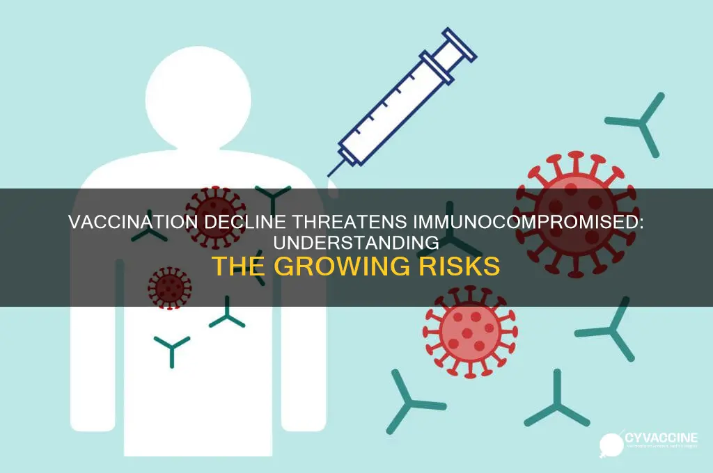 how the immunocompromised are affected by reduced rates of vaccinations