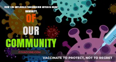 Boosting Community Health: Influenza Vaccination's Role in Herd Immunity