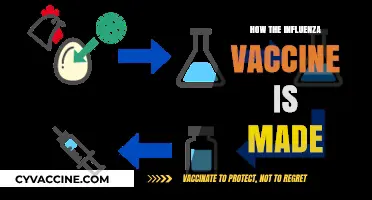 Unveiling the Process: How the Influenza Vaccine is Manufactured