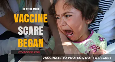 Unraveling the Origins of the MMR Vaccine Controversy and Panic
