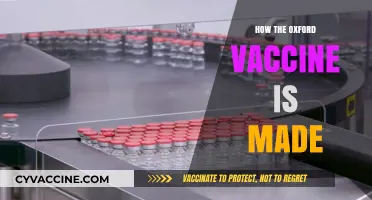 Unveiling the Science: How the Oxford COVID-19 Vaccine is Crafted