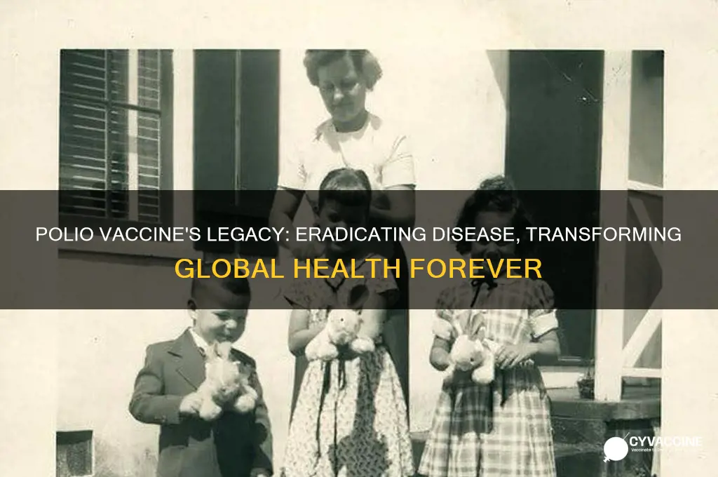 how the polio vaccine ended more than just a disease