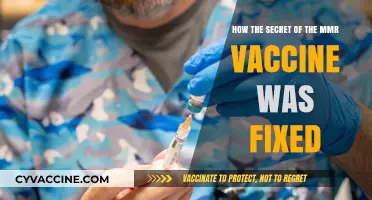 Unveiling the MMR Vaccine Fix: A Scientific Breakthrough Explained