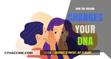 Vaccines and DNA: Debunking Myths About Genetic Modifications