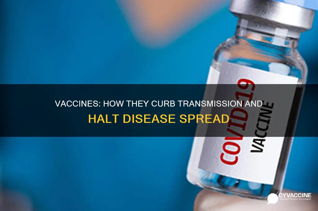 how the vaccine stops the spread