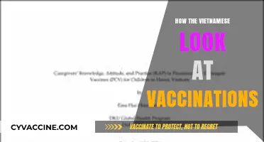 Vaccination Perspectives: Understanding Vietnamese Attitudes Towards Immunization
