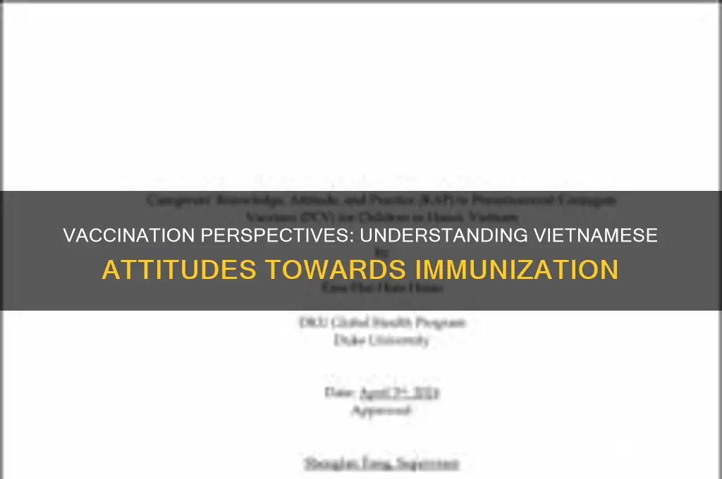 how the vietnamese look at vaccinations