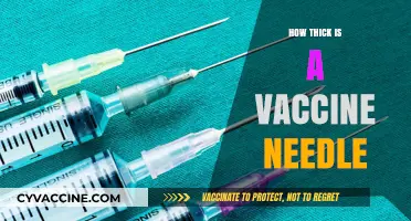 Vaccine Needle Thickness: Understanding the Gauge and Size for Injections